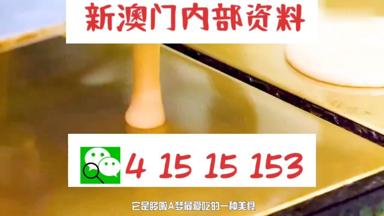 澳門新中特網(wǎng)，未來(lái)展望與SEO優(yōu)化策略，澳門新中特網(wǎng)，未來(lái)展望與SEO優(yōu)化策略探討